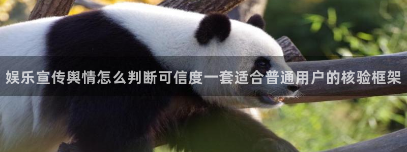 911爆料热门事件