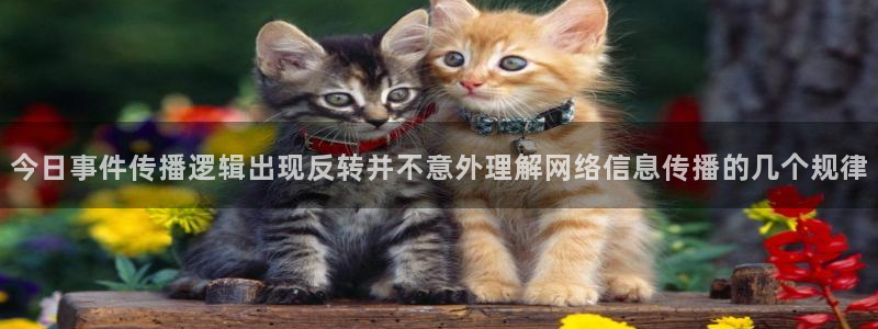911吃瓜中心