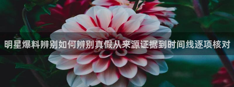 911爆料新闻