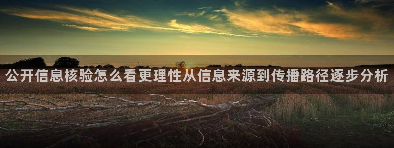 热点事件动态