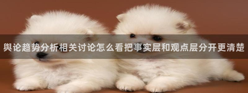 吃瓜热点网