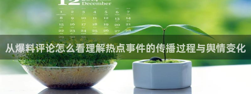 911爆料网络动态